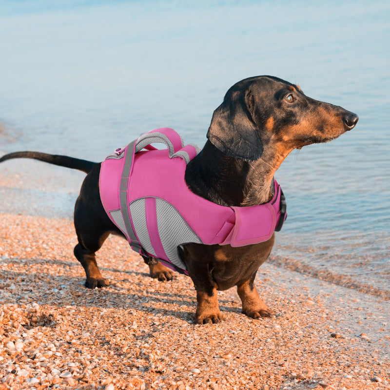 Queenmore Dog Life Vest for Swimming, Adjustable High Visibility Dog Life Jacket with Superior Buoyancy and Rescue Handle, Pink, M Medium - PawsPlanet Australia