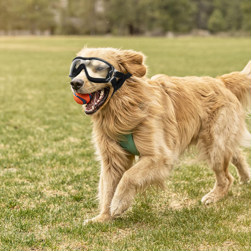 balacoo Windproof Pet Goggles Protective Dog Sunglasses Uv Eye Protection Lightweight Outdoor Eyewear for Puppy and Dog - PawsPlanet Australia