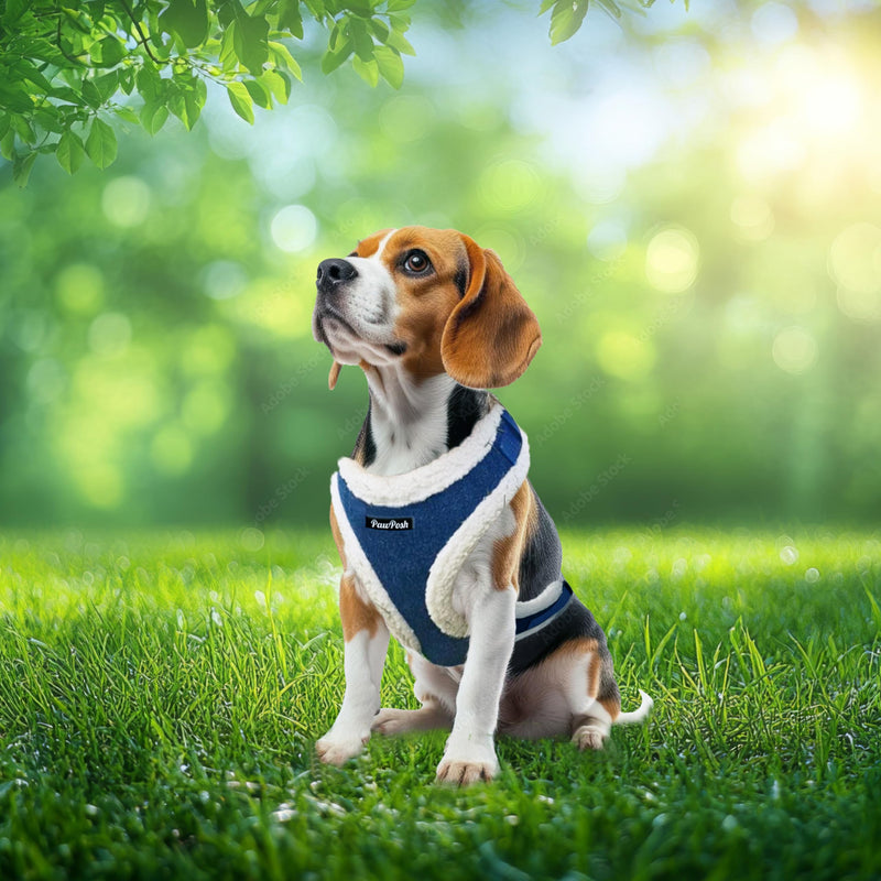 Luxury Winter Warm Soft Padded Dog Harness and Leash Set - Cute Dog Harness - Denim Harness for Small Dogs, Puppies, Large & Medium Breeds - Anti Pull Adjustable Harness for Boys & Girls (X-Small) X-Small - PawsPlanet Australia