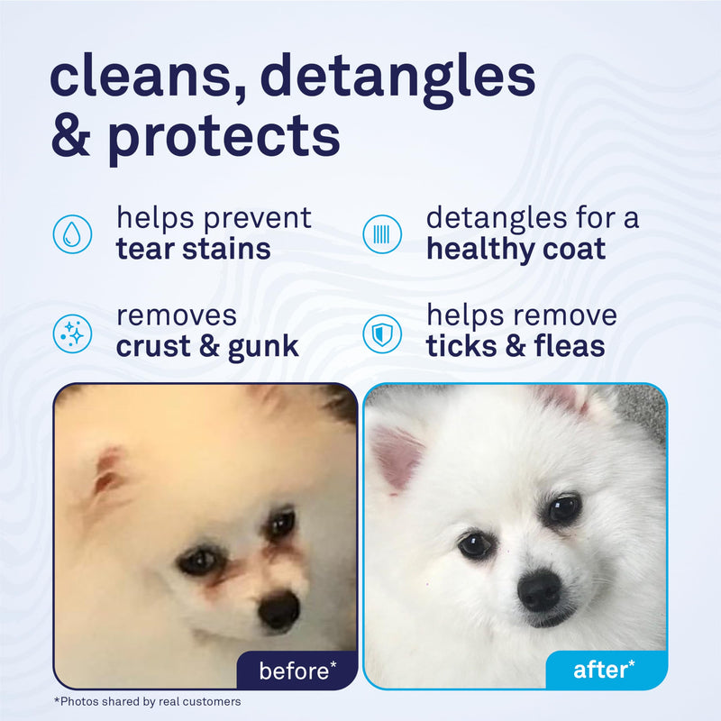 Petpost Tear Stain Remover Comb for Dogs | Extra Fine Stainless Steel Dog Eye Comb | Gentle Grooming Tool for Shih Tzu, Maltese & Small Breeds | Dog Face Comb for Eye Cleaning - PawsPlanet Australia