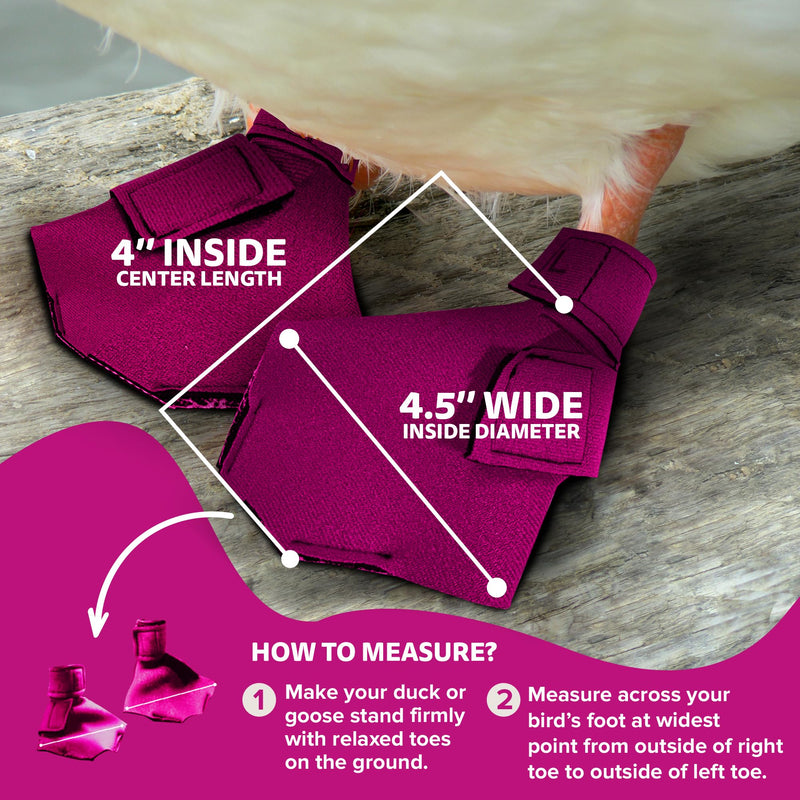 Duck Shoes for Injured Feet – Protective Neoprene Footwear for Ducks, Protective Shoes for Birds with Injured feet, Bumblefoot Relief - Large, 4.5” Max. Inside Width - Pink Large Waterfowl DUCK AND GOOSE SHOES - PawsPlanet Australia