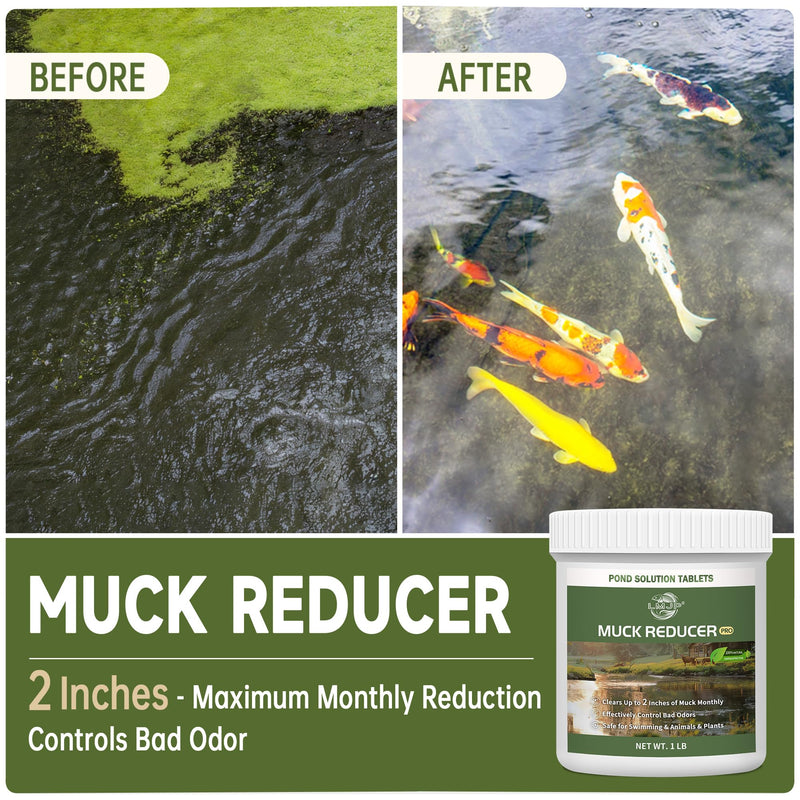 Muck Reducer - 1LB Natural Sludge Solution Tablets for Ponds & Lakes, Away Muck & Odor Control, Safe for Aquatic Life, Wildlife & Recreation, Treats Up to 6,000 Sq Ft 1 Pound - PawsPlanet Australia