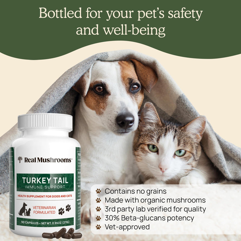 Turkey Tail Pet Support - Dog Multivitamins and Supplements for Immune Support, Gut Health & Wellness - Grain-Free, Gluten-Free, Vet-Approved Dog Supplement (90ct) Turkey Tail Mushrooms Pet - PawsPlanet Australia