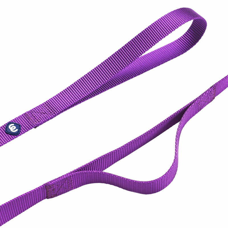Blueberry Pet Essentials Matching Dog Collar and Double Handle Leash Set in Dark Orchid, Adjustable Classic Solid Color Nylon Collar with 5 ft Leash for Medium Dogs Dark Orchid - Collar + Double Handle Leash - PawsPlanet Australia