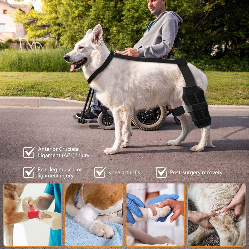 Adjustable Dog ACL Knee Brace - Hind Leg Support, Ligament Recovery, Cruciate Care - Large/Medium Sizes - Extra Stabilizers, Comfortable Wrap with Straps(Black L Size)