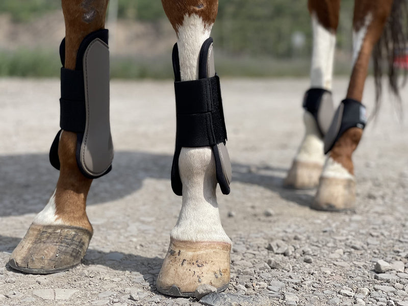 Ride Now Horse Tendon Boots Open Front/Fetlock Boot for Horse Set of 4 Cob Mocca