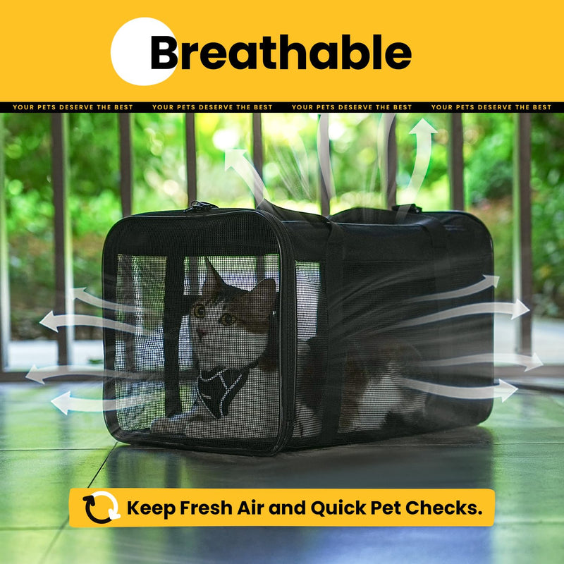 Cat Carrier Bag,Soft-Sided Pet Carriers for Dogs with 4-Sided Mesh,Airline Approved Cat Transport Carrier for Small&Medium Cats Kitten Puppy Up to 15Lb,Collapsible Cat Travel Carrier-M,Black M Black - PawsPlanet Australia