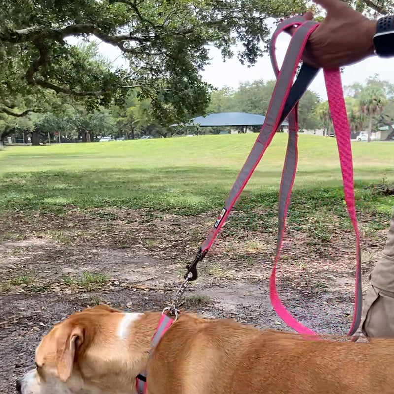 Pawtitas Double Handle Dog Leash Heavy Duty for Training No Pull Leashes Ideal for Medium and Large Dogs | Great for Walking, Running & Training Dog Leash - Medium/Large - Red Medium / Large - PawsPlanet Australia
