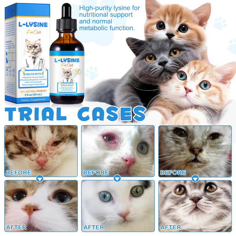 L-Lysine for Cats, L-ysine Supplement for Cats, Cat Immune Support, Cat Lysine Drops, 60ML Drops for Respiratory, Sneezing, Runny Nose, Eye Function, Allergy Relief for Kittens
