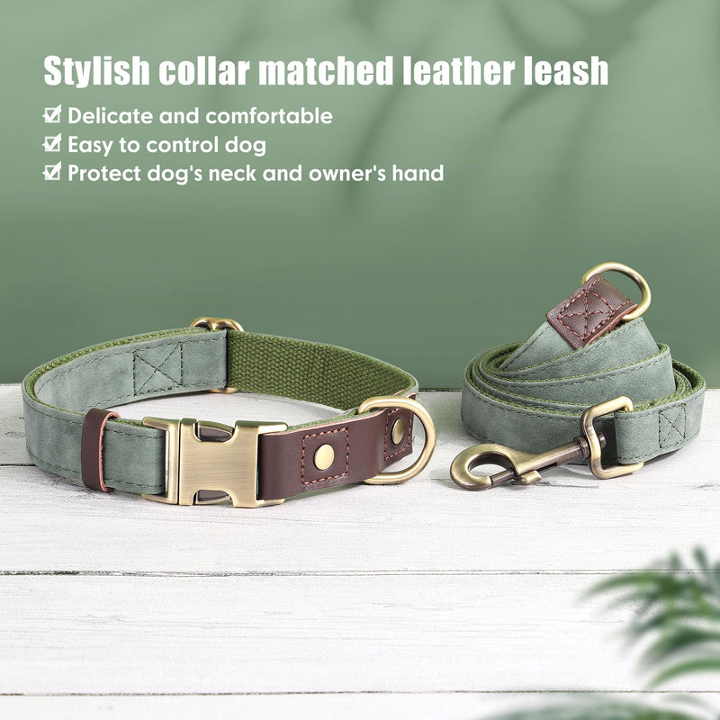 Didog PU Leather Dog Leash for Small Dogs 4.5ft, Soft Padded Handle Dog Leashes for Medium Size, Walking and Training Leashes Faux Leather for Large Pet,Green Green - PawsPlanet Australia