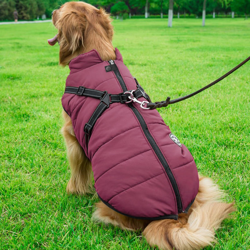 Aiboria Dog Jackets Coat for Winter Windproof Waterproof Skiing Dog Vest Fleece Warm Chest Strap Belt Purple L Violet Large - PawsPlanet Australia