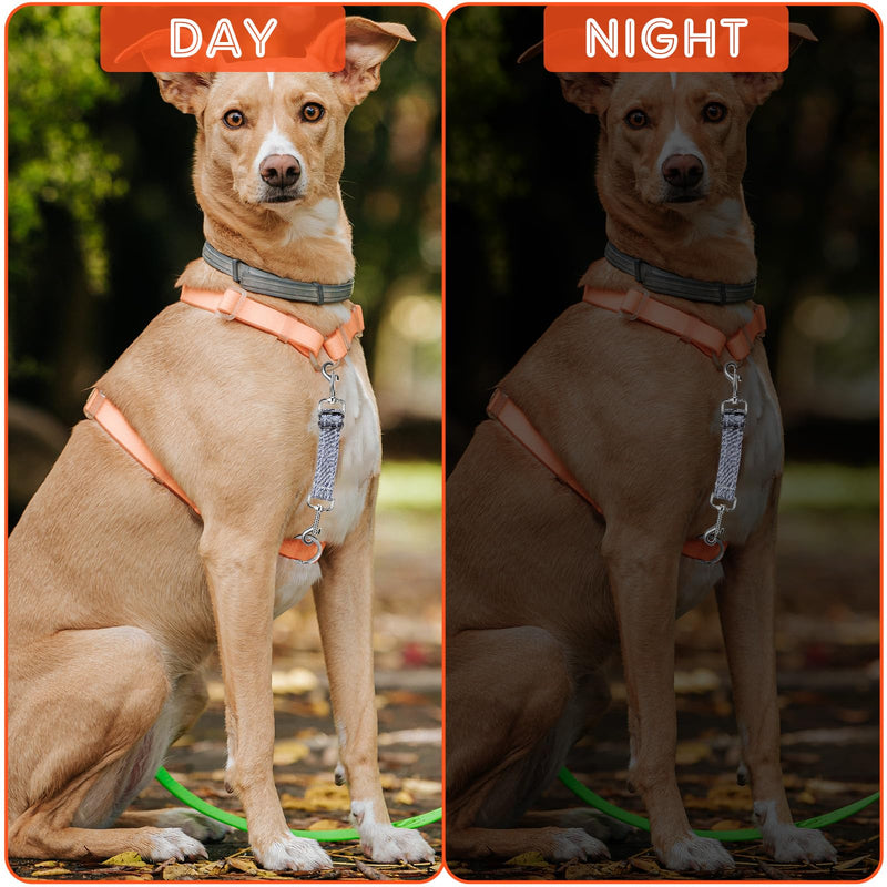 2 PCS Prong Collar Safety Clip Leash to Prong Collar Connector Dog Leash Connector Harness to Collars Safety Clip Reflective Double Ended Backup Clasp for Dog Pinch Collars - PawsPlanet Australia