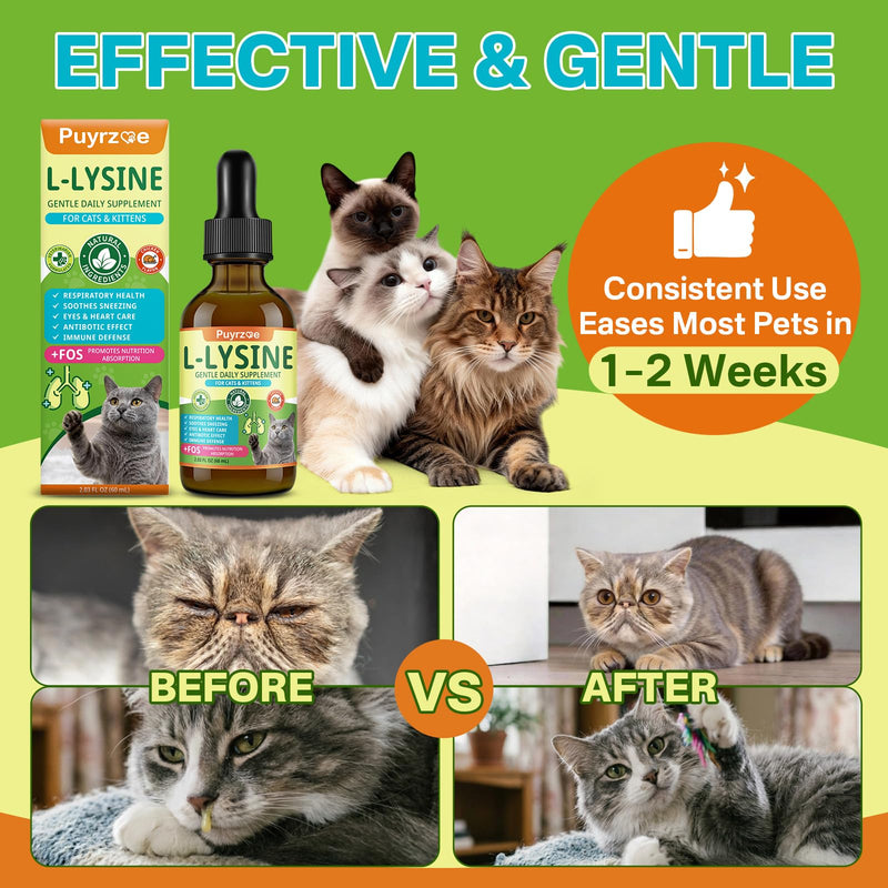 Puyrzoe L-Lysine for Cats Drops – Sneezing, Runny Nose & Watery Eyes Relief, Liquid Cat Lysine Supplement for Immune & Respiratory Support with Taurine & Vitamins, to Boost Energy & Appetite, 60 mL