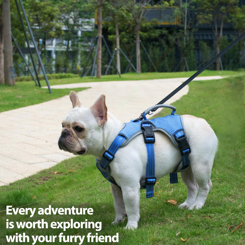 Huntboo Escape Proof Dog Harness, Escape Artist Harness, Reflective Dog Harness with Handle, Durable,Adjustable Vest for Small Medium Large Dogs Walking, Training, and Running Gear(Sea Blue,S) Small(Pack of 1) Sea Blue - PawsPlanet Australia