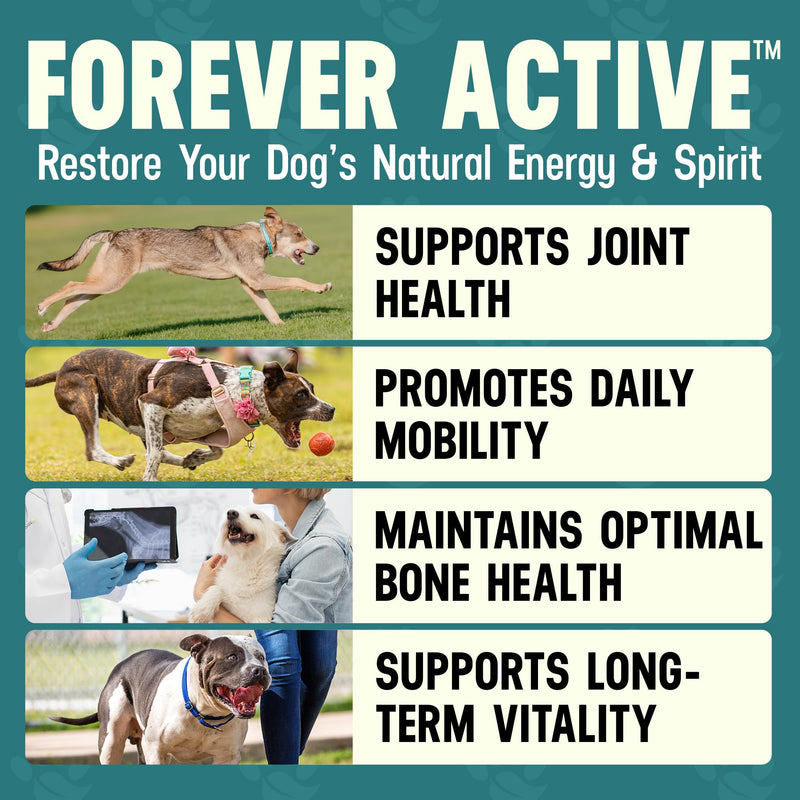 Better Dog Supplements Forever Active by Cesar Millan – Natural Hip & Joint Support Powder for Dogs – Mobility, Flexibility & Comfort with Boswellia, Devil’s Claw & Herbal Blend – 4oz (60-Day Supply) - PawsPlanet Australia