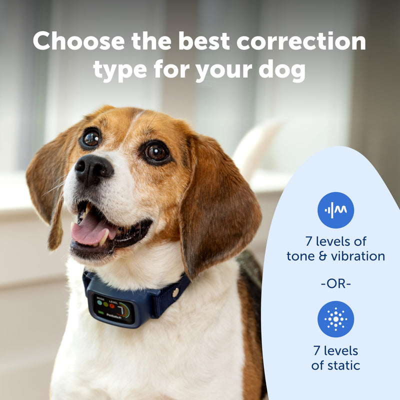 PetSafe Core Digital Dog Bark Collar – Waterproof Anti-Bark Training Device – Tone, Vibration and Static Correction – Illuminated Digital Display – for Small Medium or Large Dogs 8 lb. and Up - PawsPlanet Australia