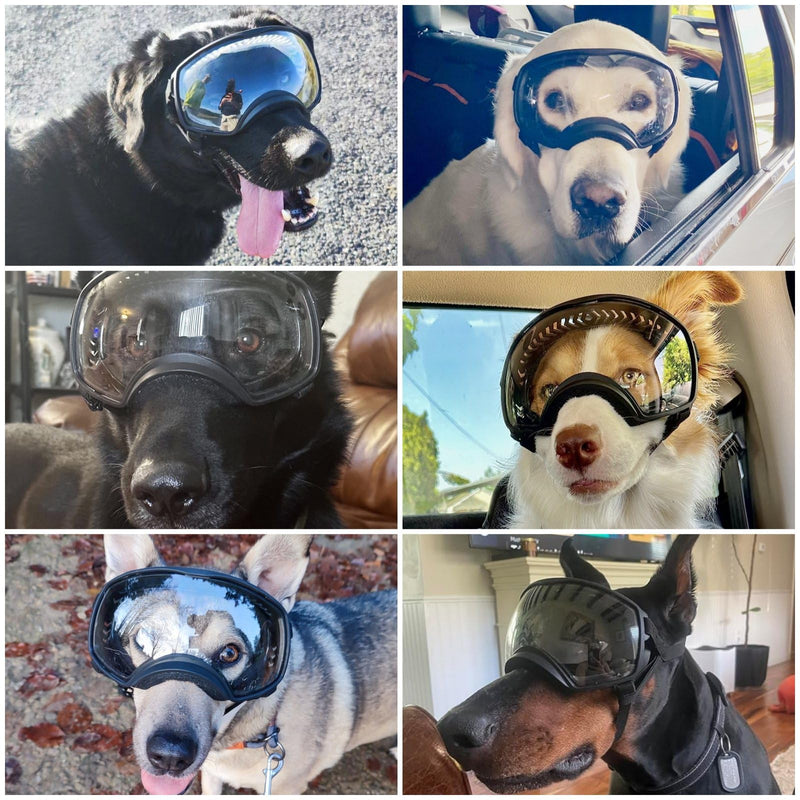 Enjoying Clear Dog Goggles for Large Dogs, Dog Sunglasses Medium Large Breed, Summer UV Pet Eye Protection, Winter Pet Snow Goggles, Transparent - PawsPlanet Australia
