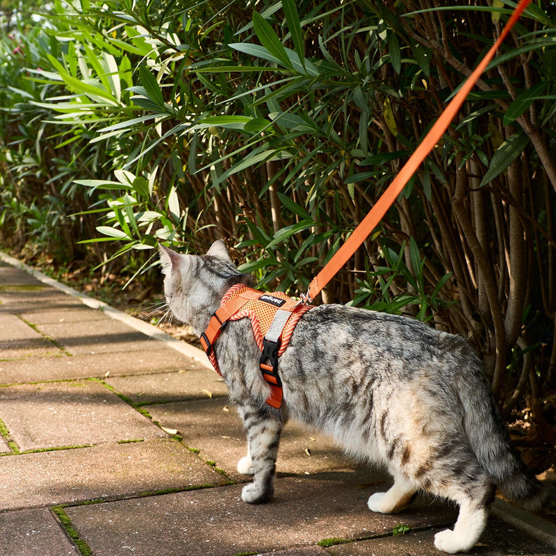Cat Harness and Leash Escape Proof Large Kitten Harness Ragdoll Cat Vest for Walking Travel, Orange, L