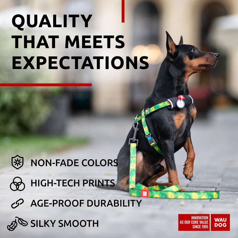 WAUDOG Nylon Dog Leash for Small & Medium Dogs - 4 Ft Heavy Duty Leash for Large Breeds 4 Ft x 3/5" Wide Avocado - PawsPlanet Australia