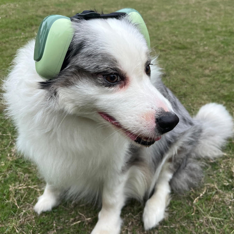 derYEP Dog Earmuffs GEN2 For Hearing Protection 30dB NRR ear muffs noise protection (Small, Nocturne Grey) Small