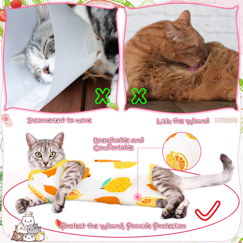 3 Pieces Cat Recovery Suit Kitten Recovery Suit E-Collar Alternative for Cats and Dogs Abdominal Skin Anti Licking Pajama Suit (Fruit Pattern,Medium) Fruit Pattern Medium - PawsPlanet Australia
