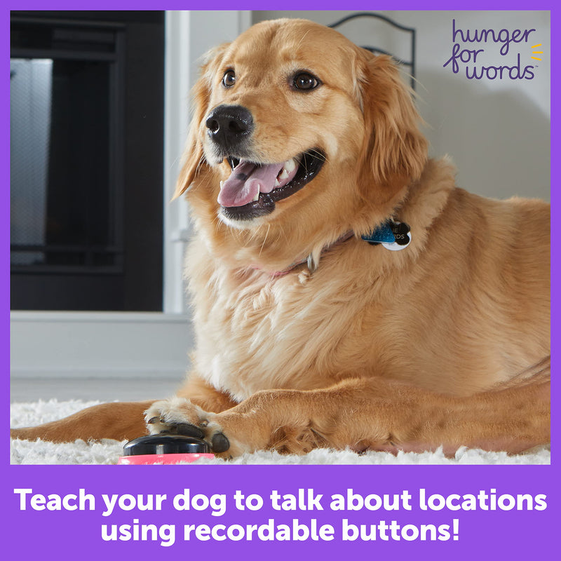 Hunger For Words Talking Pet Next Words Locations - 3 Piece Set of Recordable Speech Buttons for Dogs, Dog Buttons for Communication - PawsPlanet Australia