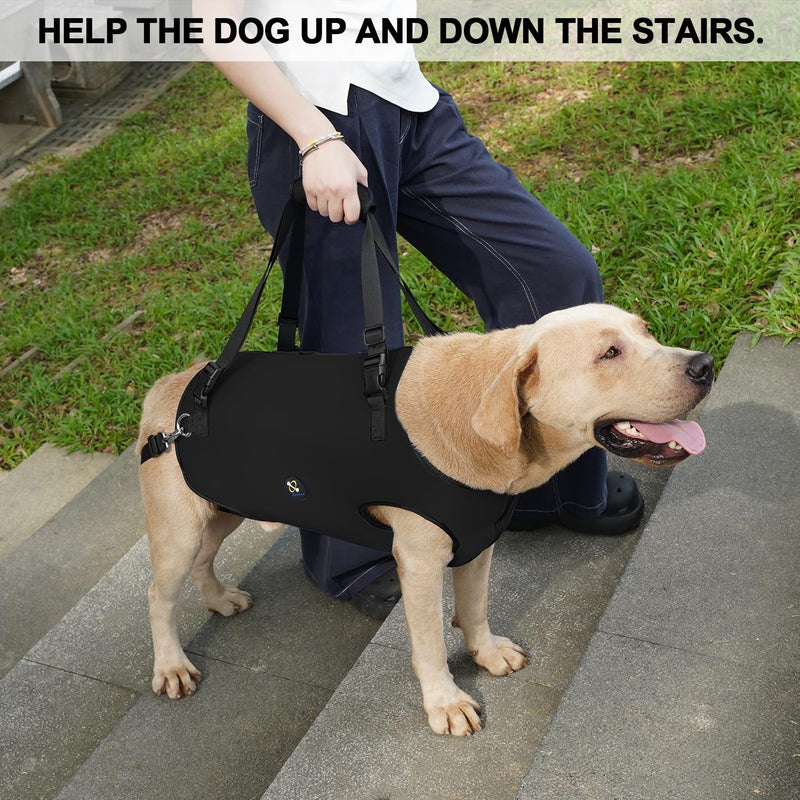 COODEO Dog Sling: Support & Rehabilitation Harness, Adjustable, Padded and Breathable, for Older, Disabled Dogs with Joint Problems or Stability Loss (Black, XL) Black