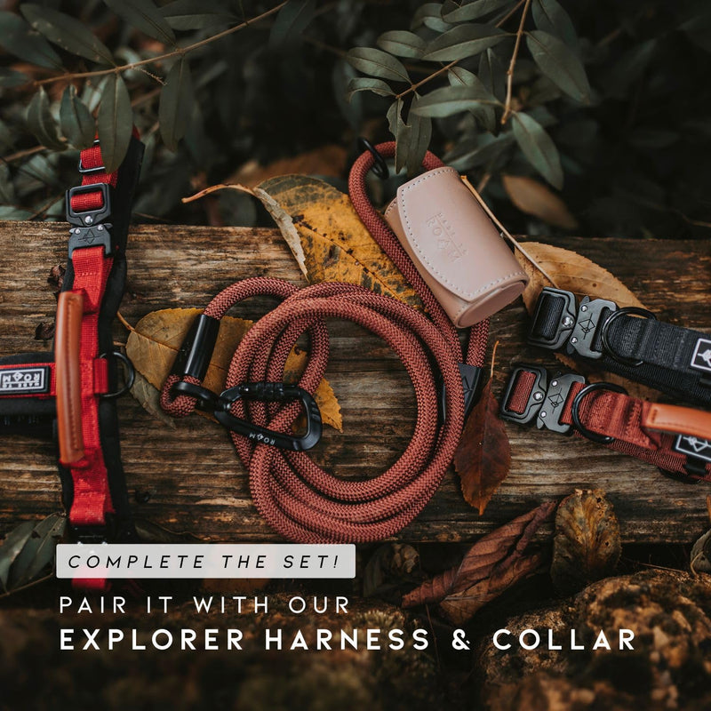 MADE TO ROAM Premium Explorer Leash - Climbing Rope Leash with Autolocking Aviation Aluminum Carabiner - New York Afterlight, 6ft 6 Feet