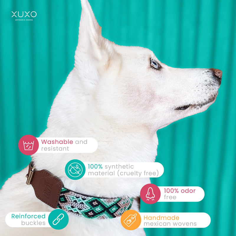 XUXO Dog Collar, Vegan Leather, Handmade, Water Resistant, Durable, Mahahual, XS