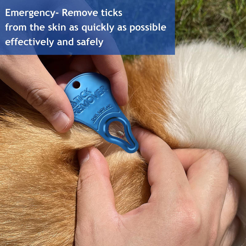 Tick Remover Tool Portable, Tick Removal for Pet and Humans, Safe and Reliable, Pain-Free, Essential Tools for Outdoor Activities- 3 pcs - PawsPlanet Australia