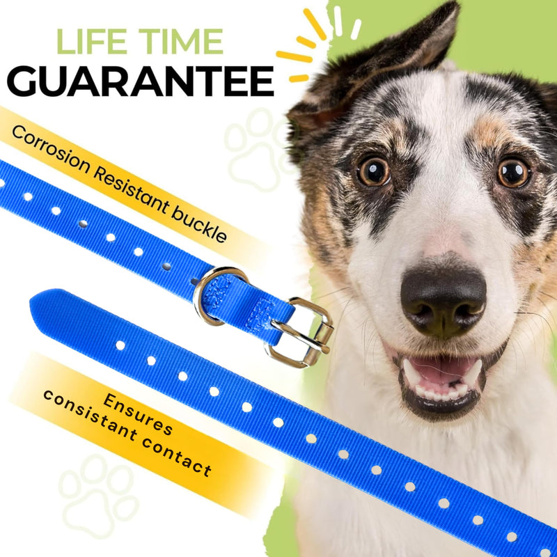 3/4" Replacement Collar - Shock Collar Replacement Collar, Invisible Fence Collar Replacement, Compatible with Educator, Pet Safe, Invisible Fence, PetSafe Collars (Blue, 3/4") Blue 3/4" - PawsPlanet Australia