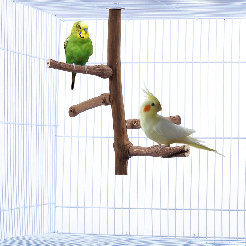 Bird Perch Stand Toy, Natural Grapevine Wood Parrot Perch Bird Cage Branch Accessories for Parakeets Cockatiels Conures Macaws Finches Love Birds(9.8" Length) 9.8"Length - PawsPlanet Australia