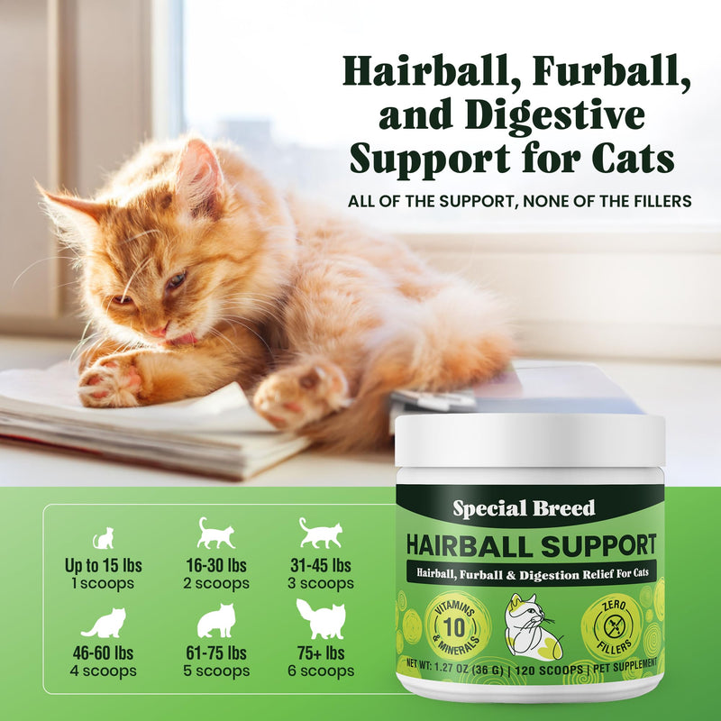 Special Breed Hairball Support for Cats - 10 Super Ingredients for Hairball Relief, Digestive Support & Healthy Skin - No Fillers - Psyllium, Pumpkin, Omega-3s & More - 120 Scoops 1.27oz