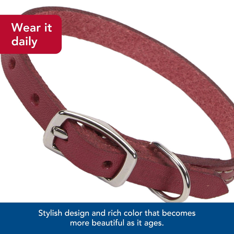 Coastal Pet - Circle T - Oak Tanned Leather Town Dog Collar, Red, 5/8" x 16" - PawsPlanet Australia