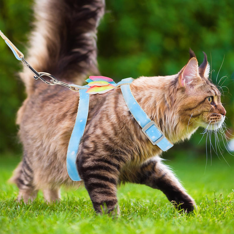 Cat Harness and Leash Set Cats Escape Proof Adjustable Kitten Harness Comfortable Soft Kitten Leash for Large Cats Easy to Wear Outdoor Walking Travel Colorful Bow Wing Gradient Blue (M) M - PawsPlanet Australia