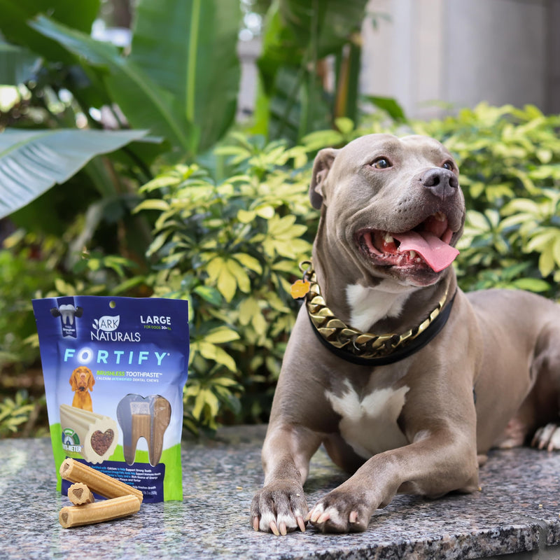 Ark Naturals Fortify Brushless Toothpaste – Large Breeds, 18oz Bag – Dog Dental Chew with Calcium, Omegas & Beef Marrow Center – Support Strong Teeth and Freshen Breath with Dental Chews for Dogs Large Breed - PawsPlanet Australia