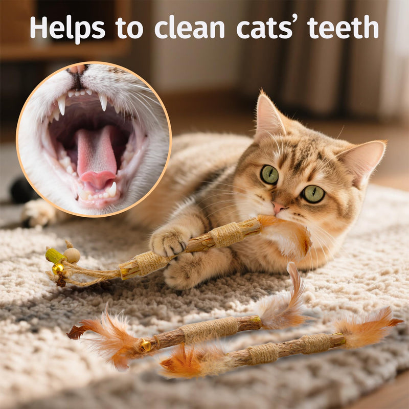 Silvervine Cat Feather Plush Mouse Toy - Natural Silvervine Catnip for Dental Health and Teething，Cat Kick Chew Stick for Indoor Use 5 Cat Feather Toys - PawsPlanet Australia