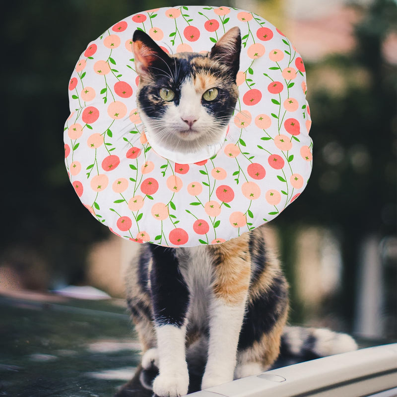 Veemoon Cat Neck Brace, Soft Fabric Recovery Collar for Post-Surgery Protection, Prevents Biting and Scratching for Cats and Dogs During Wound Healing