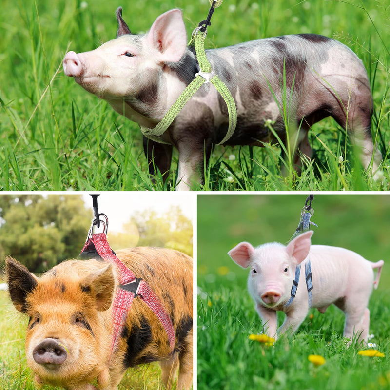 Mini Pig Harness, Adjustable Small Pig Harness with Leash Infinity Style Lead and Soft Foam Handle for Small to Medium Pet Pigs Walking Training Jogging (Pink, M) Pink - PawsPlanet Australia