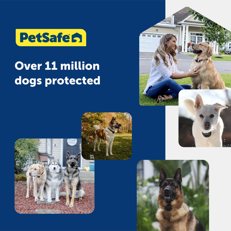 PetSafe Replacement Collar Strap with 2 Holes - Adjustable Design for In-Ground & Wireless Fence Collars - Lightweight Polyester - Secure, Comfortable Fit - PawsPlanet Australia