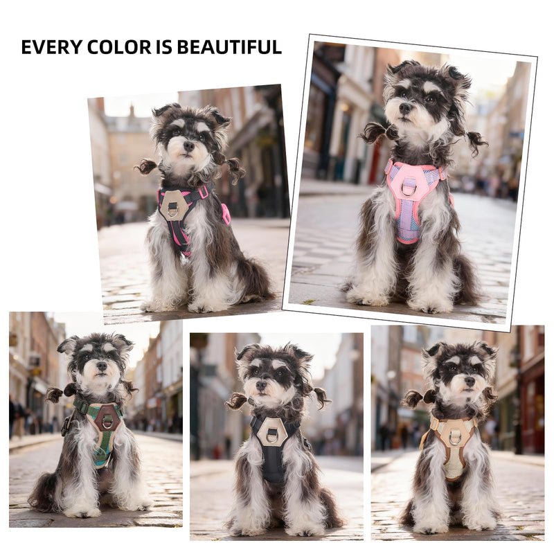 Small Dog Harness and Leash Set, Breathable Mesh Puppy Harness, Adjustable Dog Harness for Small Medium Large Dogs, No-Pull Pet Harness for Daily Walking (Lakeblue, Large) Lakeblue L - PawsPlanet Australia