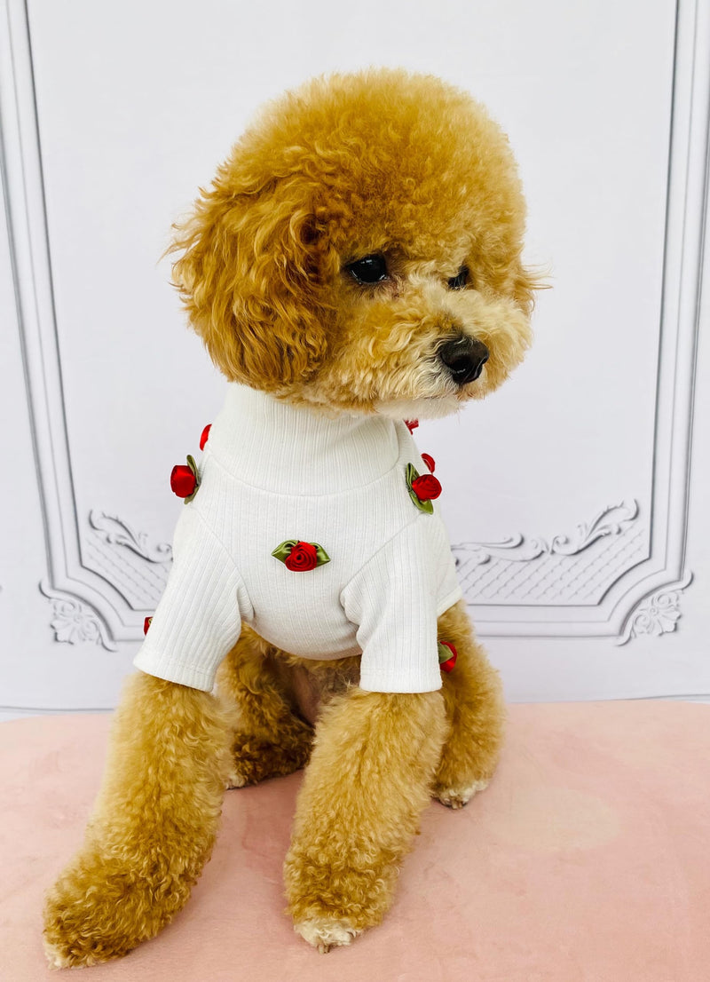 Pet Sweater with Red Roses for dog or cat (Medium) Medium - PawsPlanet Australia