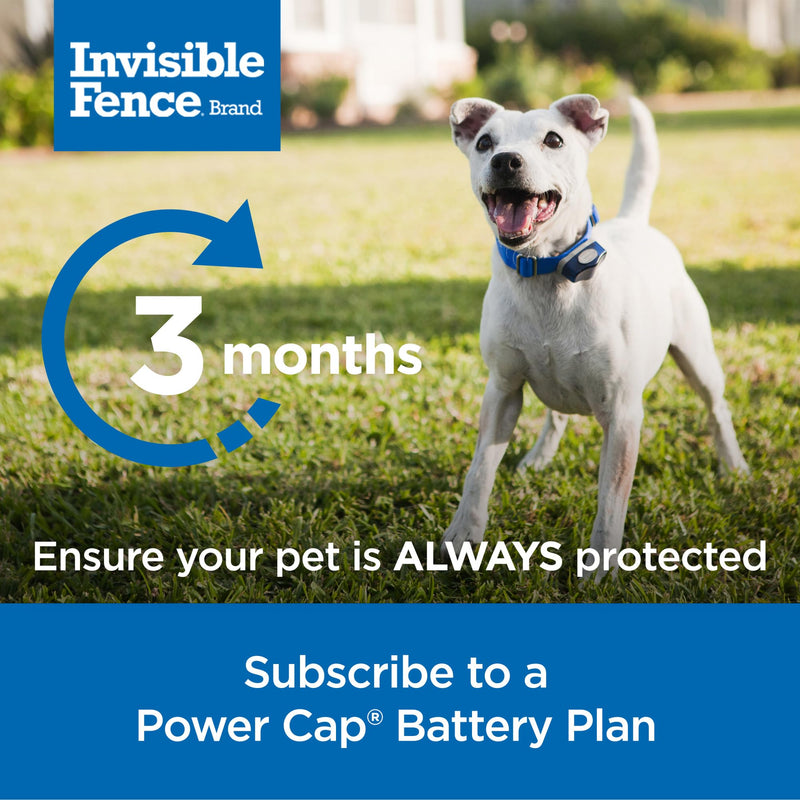 Invisible Fence Brand Power Cap Battery - Replacement Dog Collar Batteries for Microlite, Microlite Plus MaxDog, and MaxDog Plus In-Ground Fence Collars, 2-Pack 2 Pack - PawsPlanet Australia