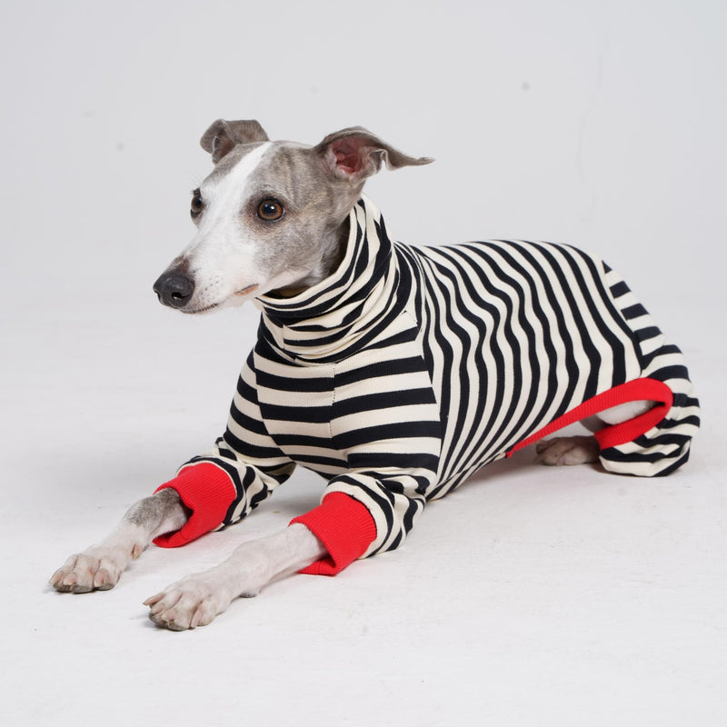 Italian Greyhound Onesie Clothes, Turtleneck Striped Shirt for Whippets Puppy, Light and Thin Shirt for Spring and Summer (Small) Small - PawsPlanet Australia
