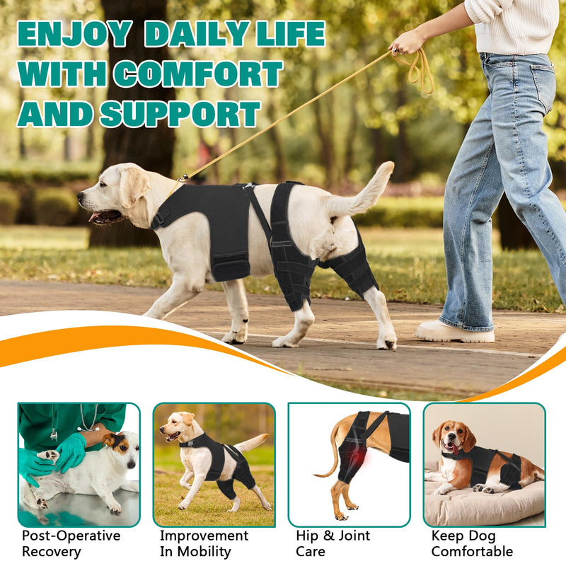 Dog Knee Brace Double Leg Support with Vest - Orthopedic Joint Stabilizer for ACL Tear, Arthritis, Patella Recovery - Adjustable Non-Slip Recovery Brace for Small Middle Large Dogs (Middle)