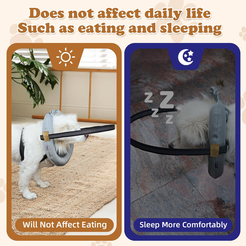 Blind Dog Harness, Lightweight Collar for Dogs&Cats, Adjustable Blind Dog Collar Harness, Pet Anti-Collision Ring for Blind, Eye Injury, Vision Impairment Pets for Protective & Build Confidence XL - PawsPlanet Australia