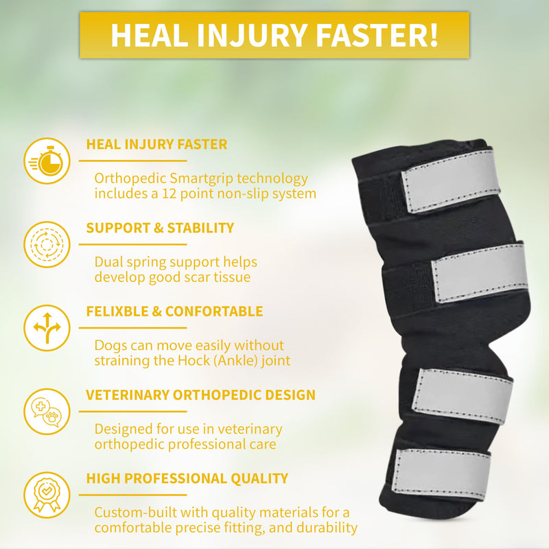 AGON Dog Hock Brace Supportive Pair Hock Joint Brace with Metal Strings and Reflective Wraps Compression Straps Canine Back Leg Protects Wounds. Heals Injuries Sprains Loss Stability by Arthritis Extra Large - PawsPlanet Australia