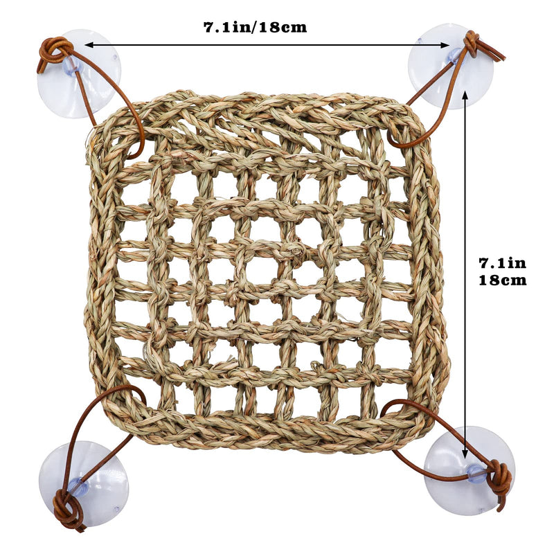 Hermit Crab Climbing Toys, Seagrass Mat Lizard Hammock with Suction Cup, Natural Seagrass Woven Net, Tank Accessories for Small Reptiles Hermit Crab Lizard Hamster Guinea Pig Rats 7.1 x 7.1 Inches Square