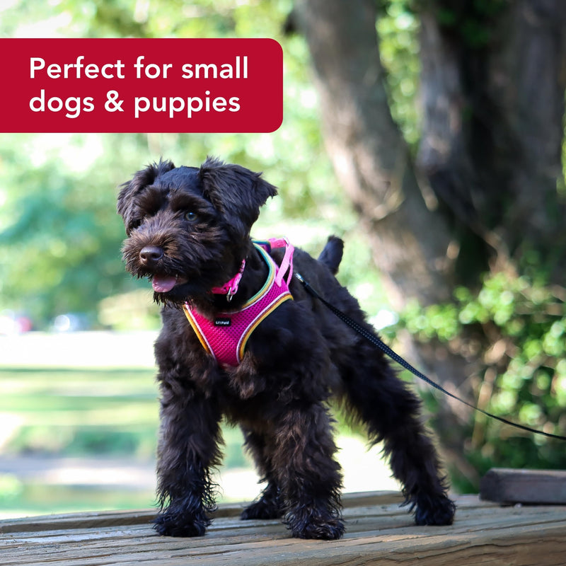 Coastal Pet Li'l Pals Comfort Mesh Dog Harness - No-Pull Step-in Dog Harness for Small Dogs & Puppies - Dog Cooling Vest - Orchid - 3/8" x 8"-10" 3/8" x 8"-10"