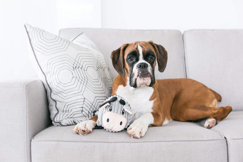 Outward Hound Fattiez Pig Plush Squeaky Dog Toy, Small - PawsPlanet Australia